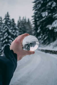 Cropped hand of person holding crystal ball against trees during winter