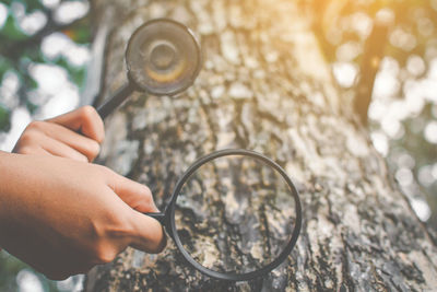 Low angle cropped hands of people holding magnifying glass by tree in forest