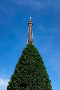 Low angle view of tree against blue sky