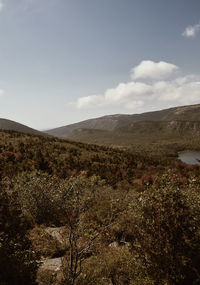 Scenic view of landscape against sky