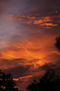 Low angle view of silhouette trees against dramatic sky