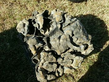 Rocks on field