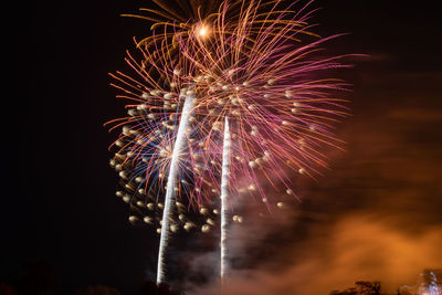 Low angle view of firework display at night