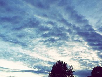 Low angle view of silhouette trees against sky