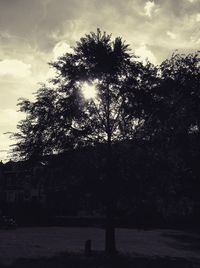 Trees against sky during sunset