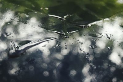 High angle view of water surface