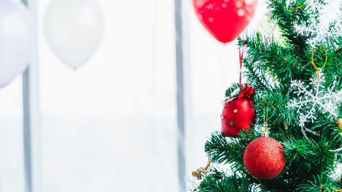 Close-up of christmas decoration hanging on tree