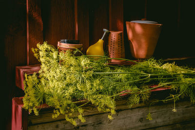 Close-up of herbs