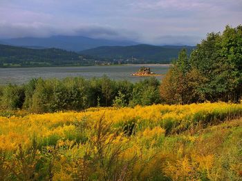 Scenic view of lake against sky