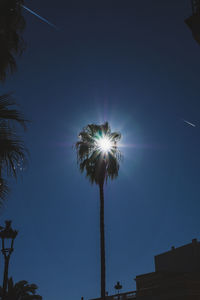 Low angle view of silhouette palm trees against blue sky