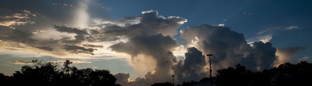 Low angle view of silhouette trees against sky