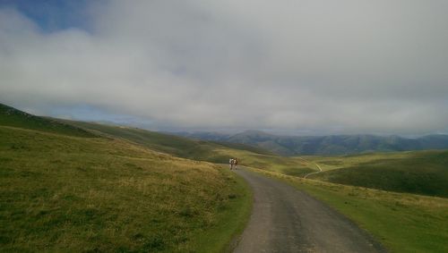 Empty road amidst field against sky