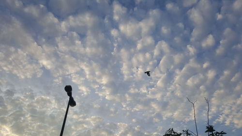 Low angle view of birds flying against sky