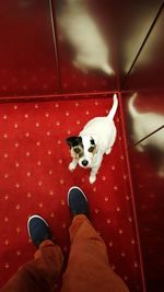 Low section of person standing on tiled floor