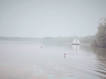 Boats in river