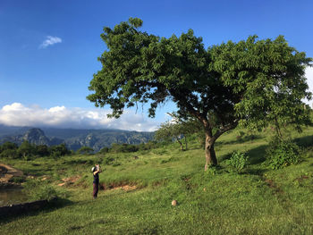 Woman standing by tree on field against sky