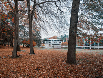 Trees and plants during autumn