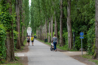 Rear view of people walking on road amidst trees