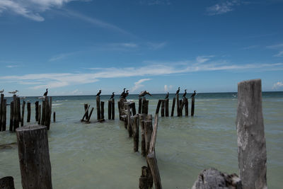 Wooden posts in sea against sky