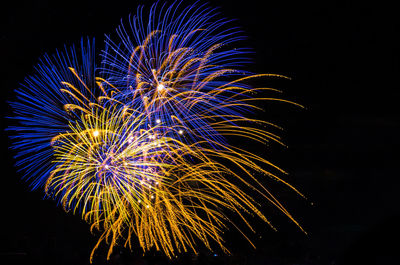 Low angle view of firework display against sky at night