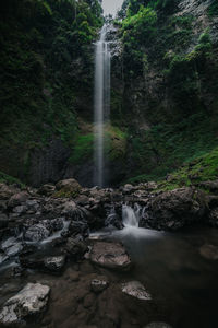 Waterfall in forest