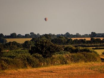 Hot air balloon flying over field against clear sky