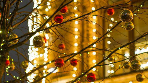 Low angle view of christmas tree