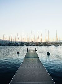 Sailboats in marina at harbor against clear sky