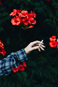 Cropped hand of woman holding cigarette by flowering plant