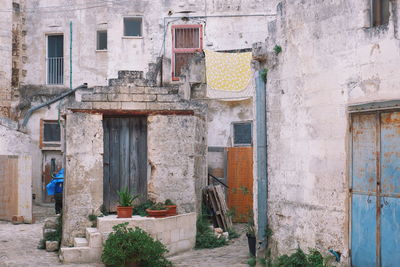 Potted plants on wall of old building