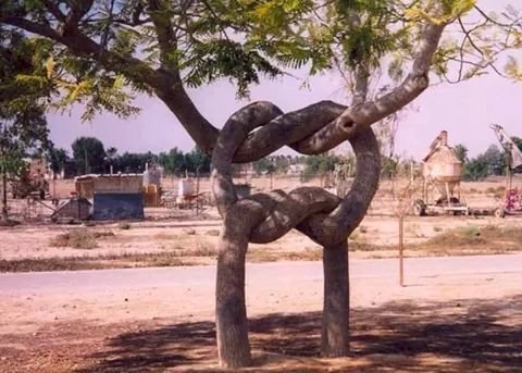 tree, metal, old, rusty, day, abandoned, branch, no people, outdoors, sunlight, tree trunk, built structure, focus on foreground, fence, obsolete, sand, chain, park - man made space, metallic, close-up