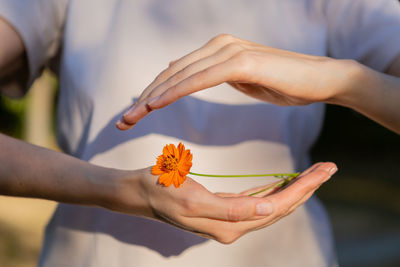 Midsection of woman holding yellow flower