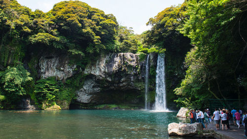 Scenic view of waterfall