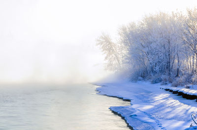 Scenic view of frozen sea against sky