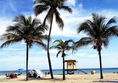 Coconut palm trees at beach against sky