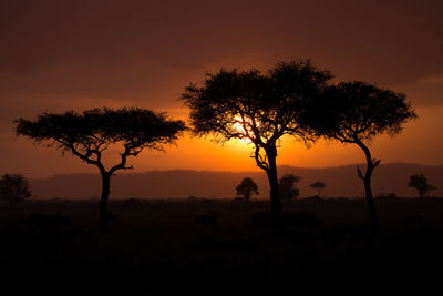 Silhouette tree against sky during sunset