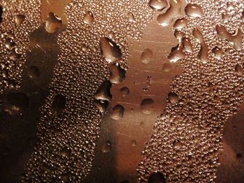 Full frame shot of raindrops on glass