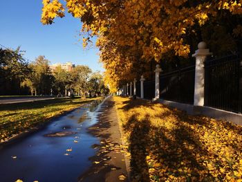 Road amidst trees in city against sky during autumn