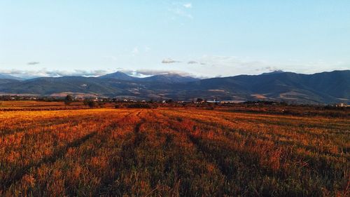 Mountain and the field 