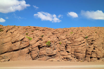 Amazing rock formations with growing unique desert plants in siloli desert, bolivian altiplano