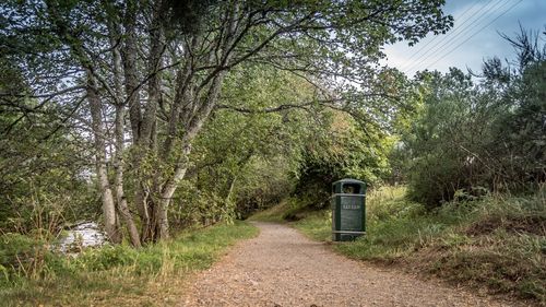 Road amidst trees in forest against sky