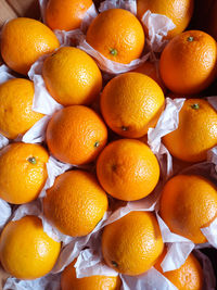 Piles of fresh oranges photo taken from the top view that displays the freshness of the fruits