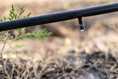 Close-up of raindrops on metal railing