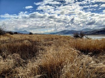 Scenic view of field against sky