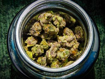 High angle view of plants in jar