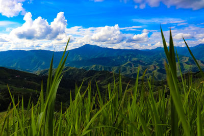 Scenic view of field against cloudy sky