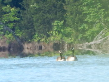 View of people in water