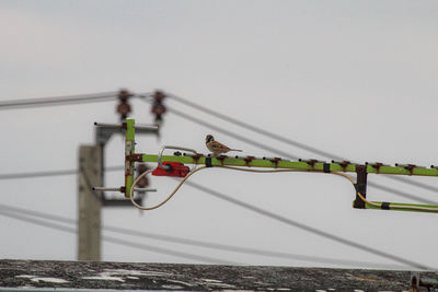 Close-up of ropes against clear sky