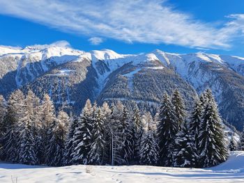 cold temperature