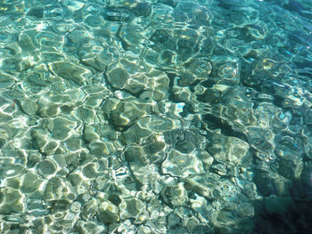 High angle view of swimming pool